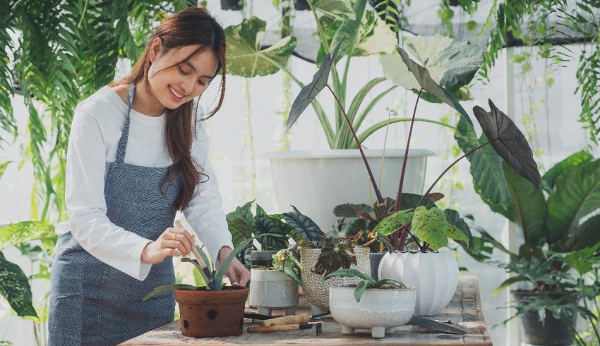 A woman in an apron is planting a plant in a greenhouse.