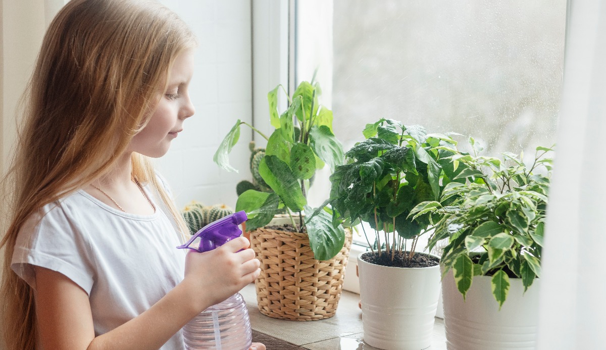 Quiz: Which House Plant Should I Get? 2023 Trend Suggestions 13