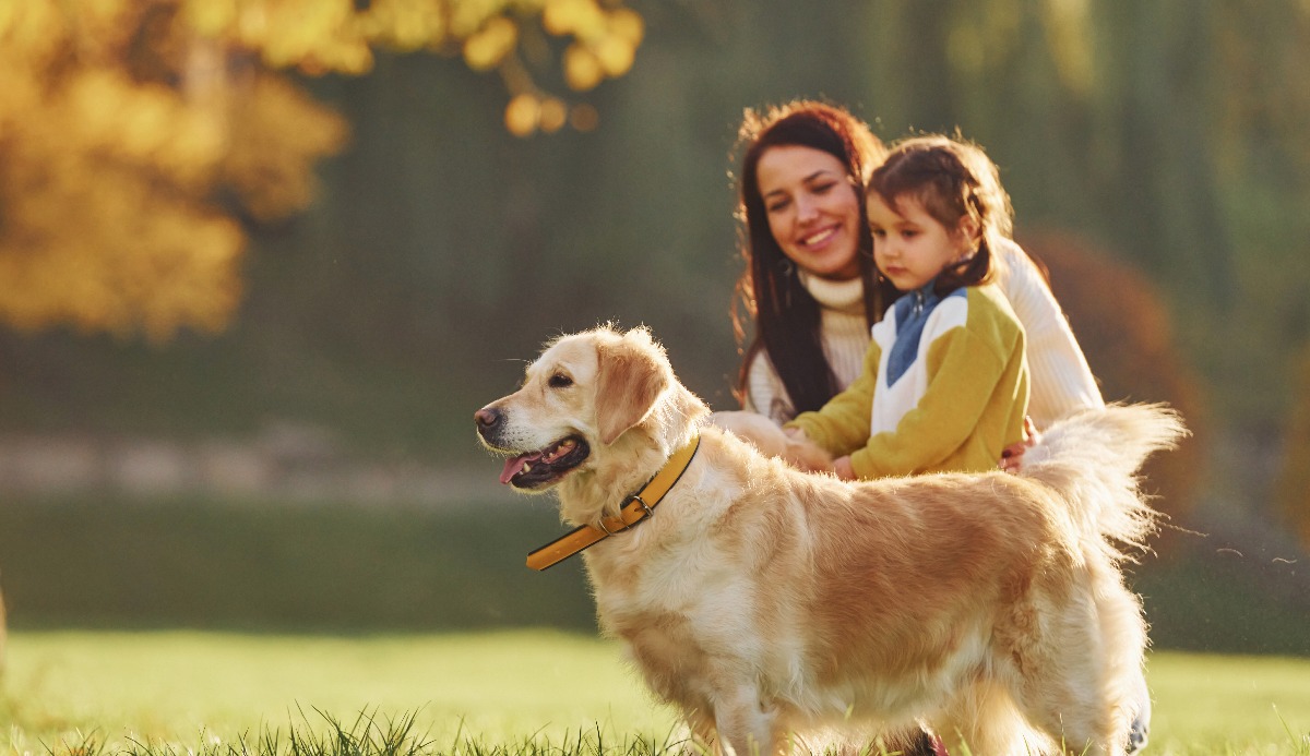 Quiz: Which Golden Ratio Dog Are You? 1 of 6 Matching 1