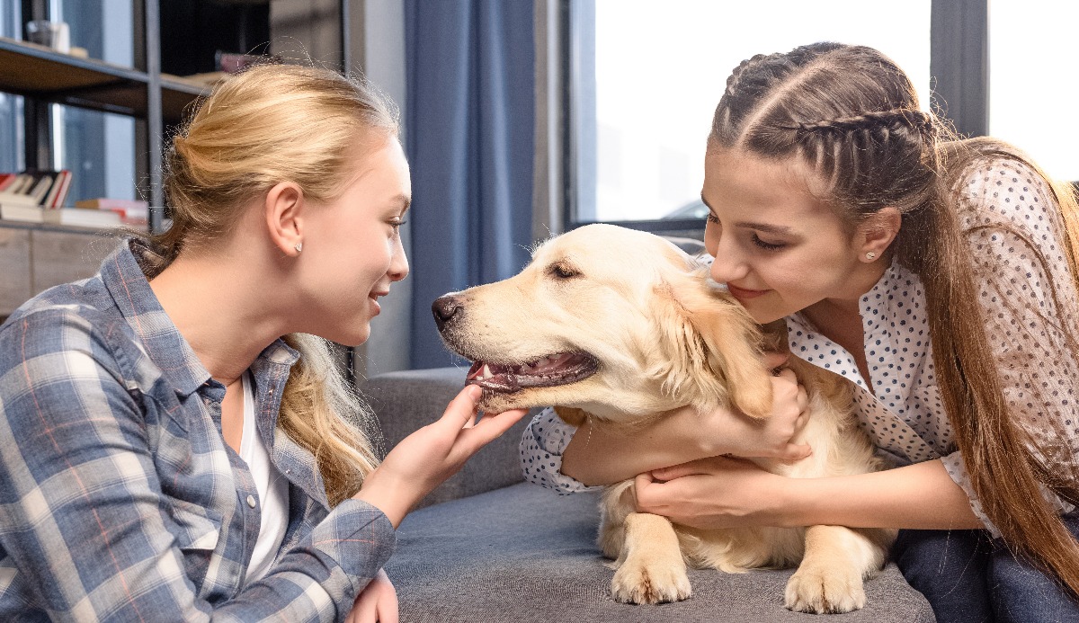 Quiz: Which Golden Ratio Dog Are You? 1 of 6 Matching 4