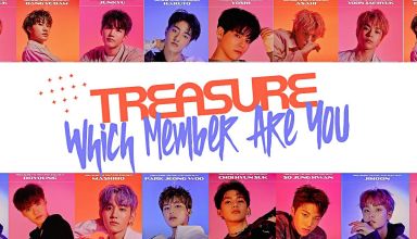 Which Treasure Member Are You
