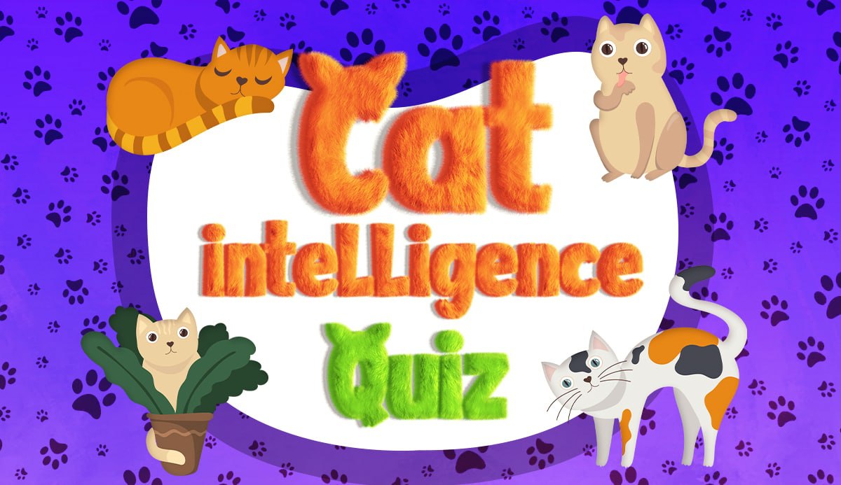 Cat Intelligence Quiz How Smart Is Your Cat? (20 Signs)