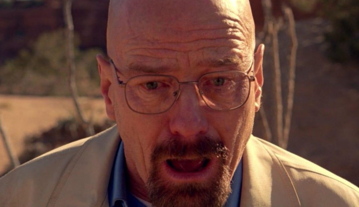Quiz: Which Breaking Bad Character Are You? In All 5 Seasons 10