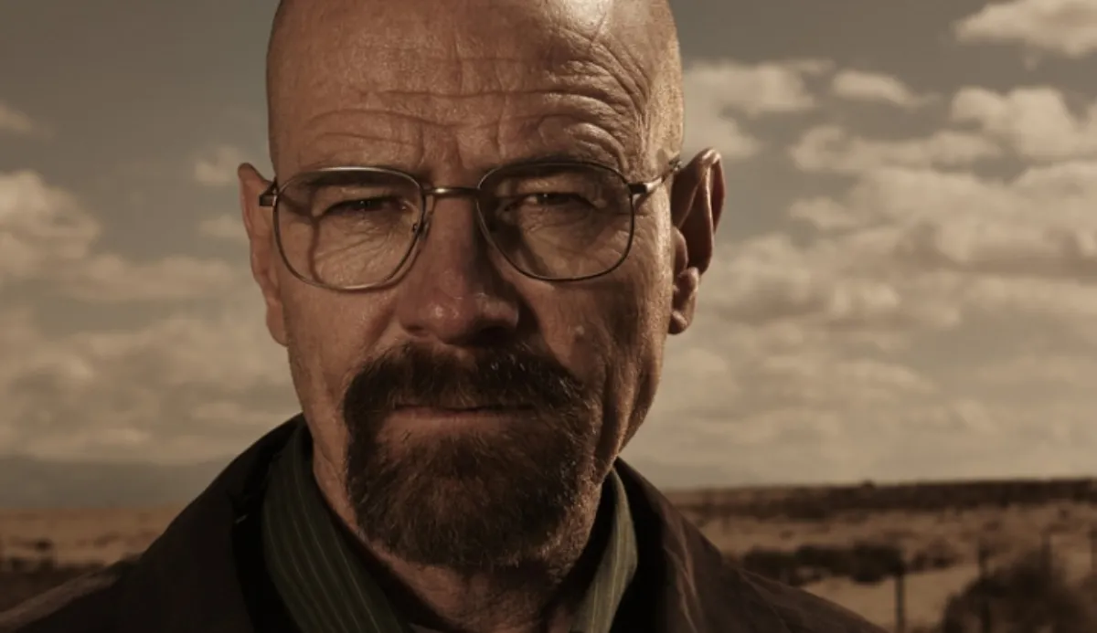 Quiz: Which Breaking Bad Character Are You? In All 5 Seasons 9