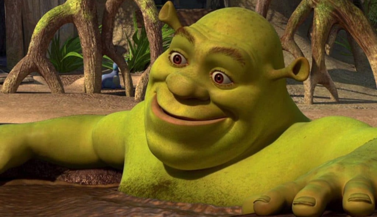 Quiz: Which Shrek Character Are You? 1 of 6 Matching 14