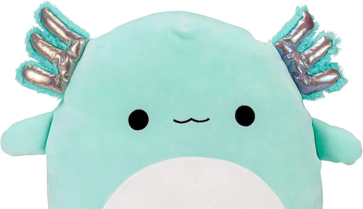 What Squishmallow Are You? – THE TALON