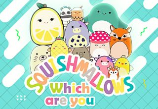 Which Squishmallow Are You