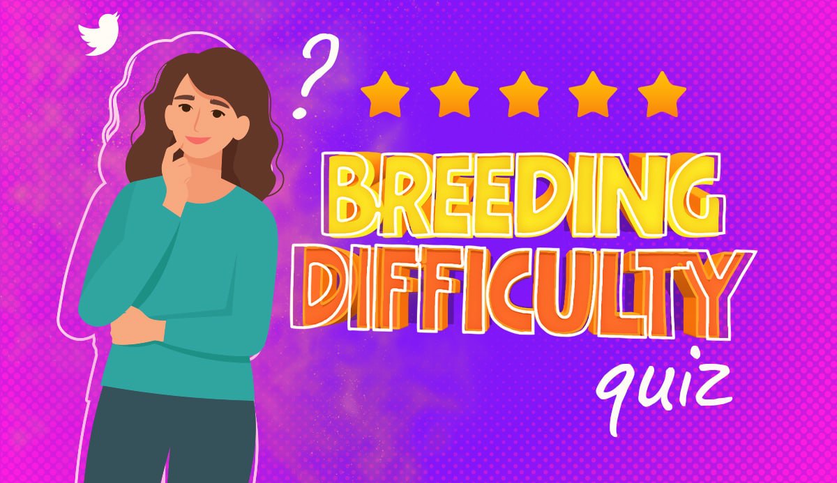 Breeding Difficulty Quiz. 2024 Trending Test