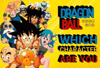 Which Dragon Ball Character Are You