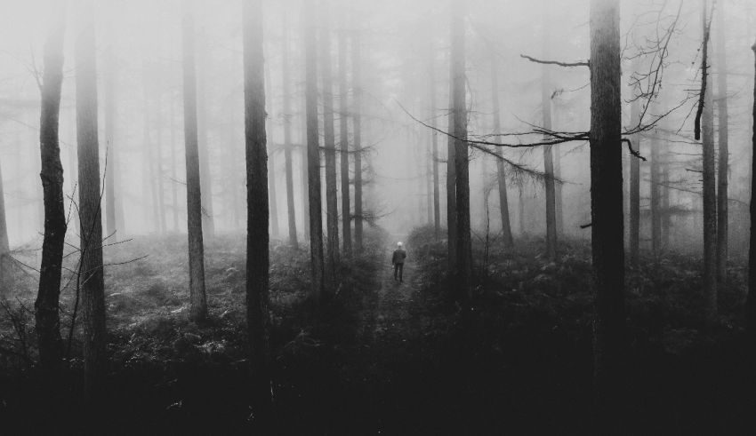 A black and white photo of a person walking through a foggy forest.
