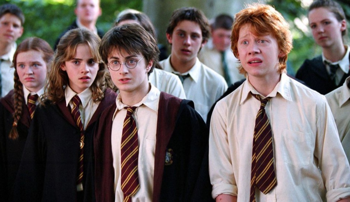 Quiz: What Is Your Harry Potter Blood Type? 100% Accurate 4