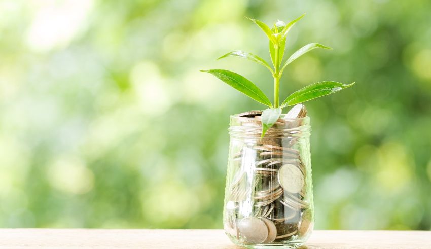 A jar of coins with a plant growing out of it.
