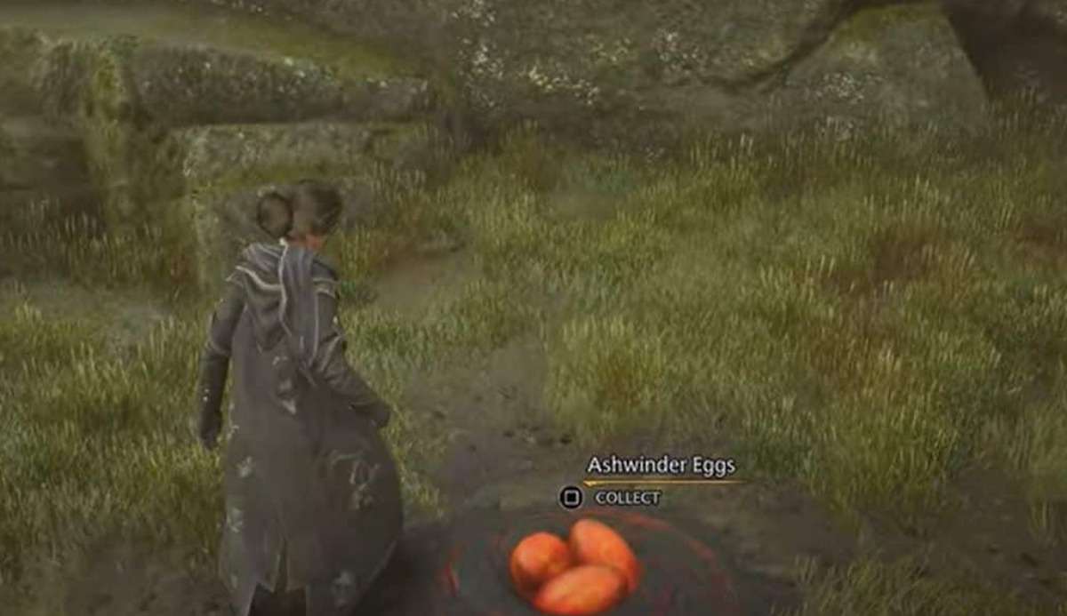 Which one should you NOT add to the Maxima Potion? 1