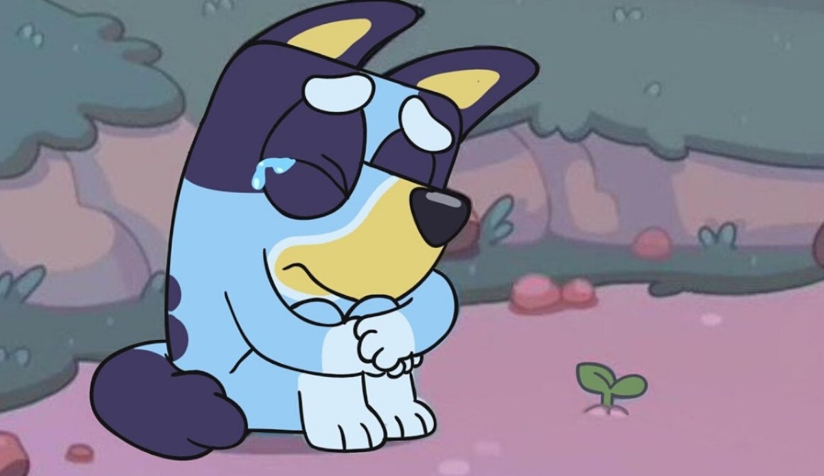 Quiz: Which Bluey Character Are You? Season 3 Updated 19