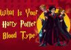 What Is Your Harry Potter Blood Type