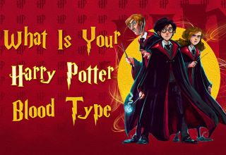 What Is Your Harry Potter Blood Type