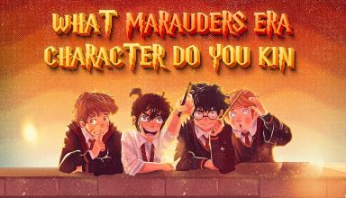 What Marauders Era Character Do You Kin