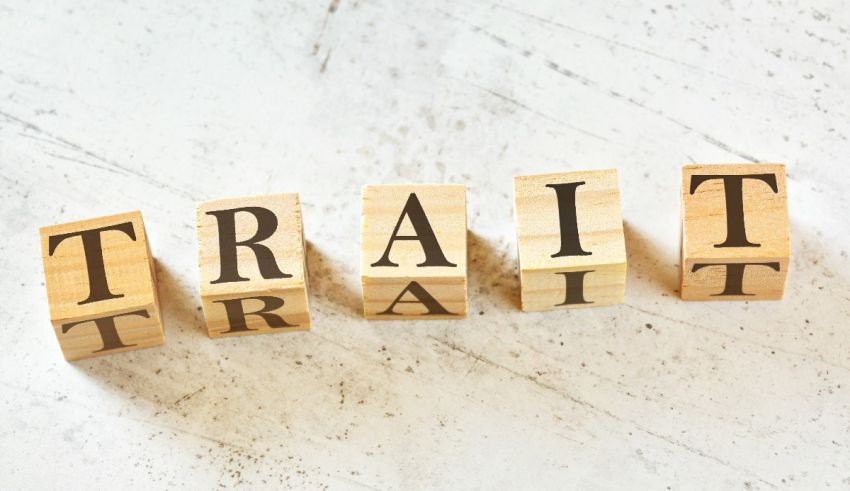 The word trait is spelled out in wooden cubes on a white background.
