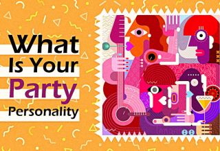 What Is Your Party Personality