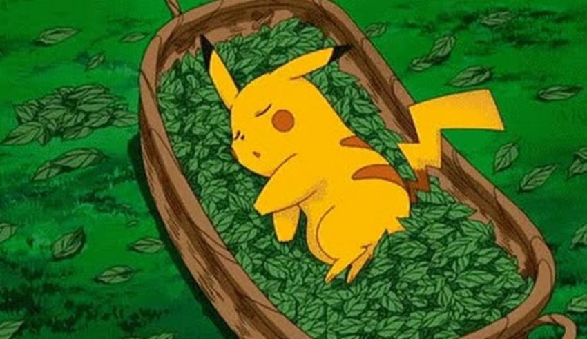 Pokemon pikachu in a basket of leaves.