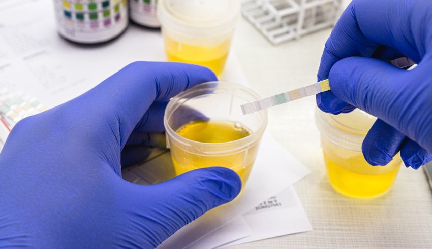 A person holding a test tube with yellow liquid in it.