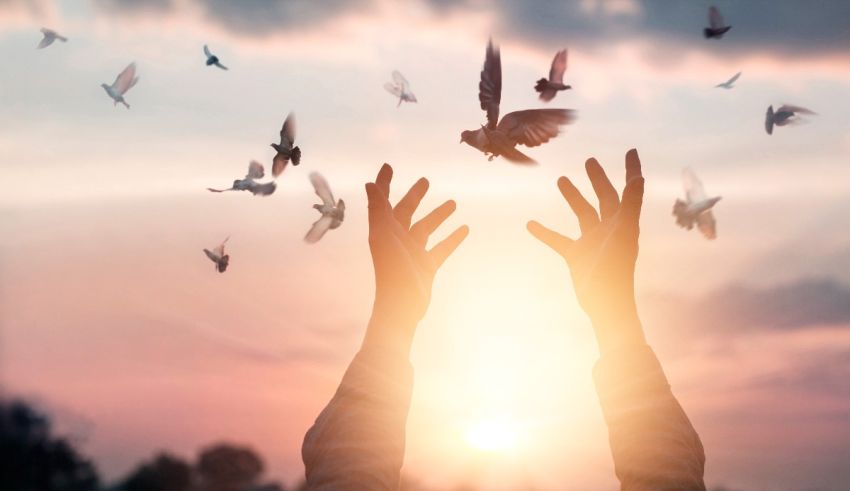 A woman's hands reaching out to a flock of pigeons.