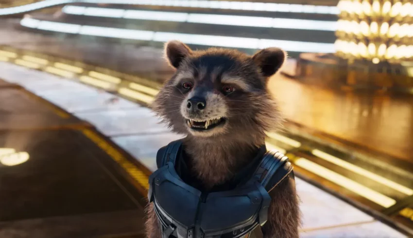 Guardians of the galaxy rocket raccoon.