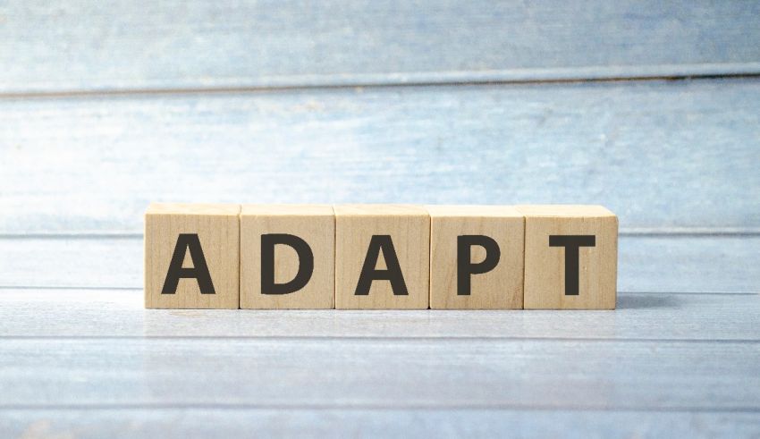 A wooden block with the word adapt on it.