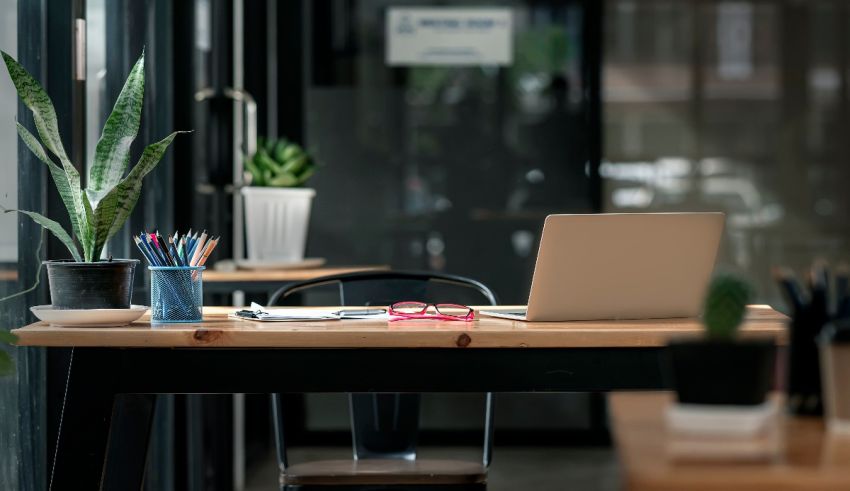 A desk with a laptop and a plant on it.