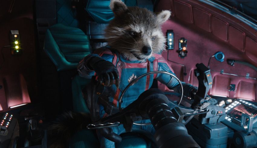 Rocket raccoon in guardians of the galaxy.