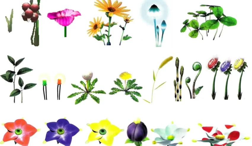 A variety of different flowers are shown on a white background.