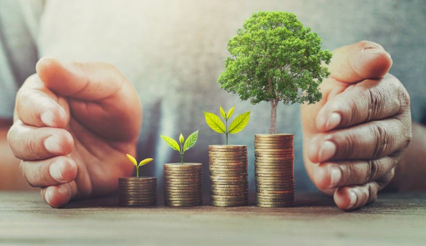 A man's hands holding stacks of coins with a tree growing out of them.