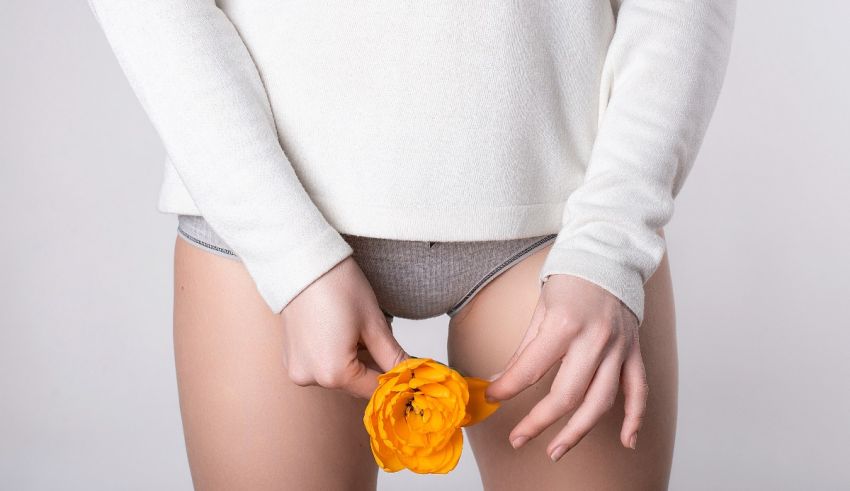 A woman is holding a yellow flower in her underwear.