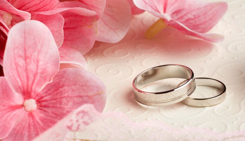 Two wedding rings on a white background with pink flowers.