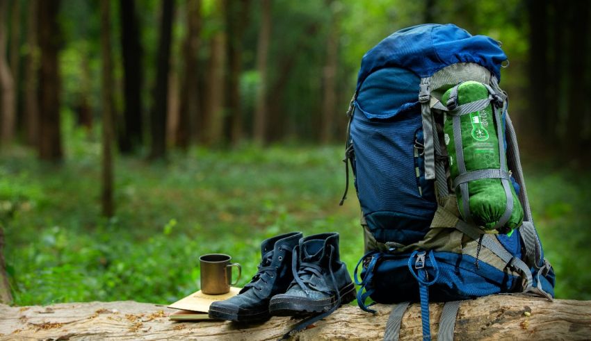 A backpack sits on a log in the woods.
