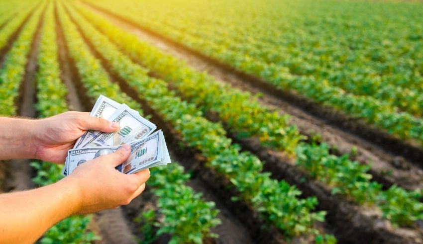 A man is holding money in front of a field of crops.