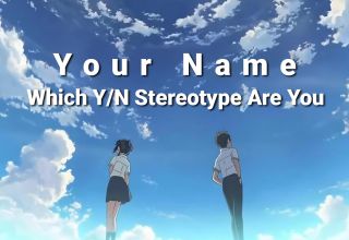 Which Y/N Stereotype Are You