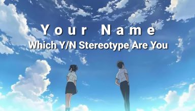 Which Y/N Stereotype Are You