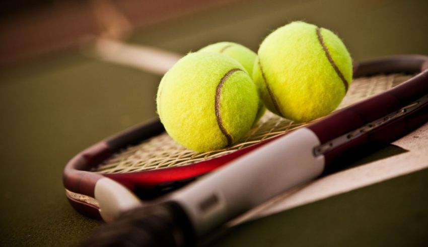 Which Tennis Player Are You