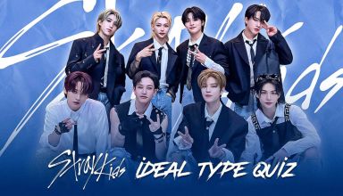 SKZ Ideal Type Quiz