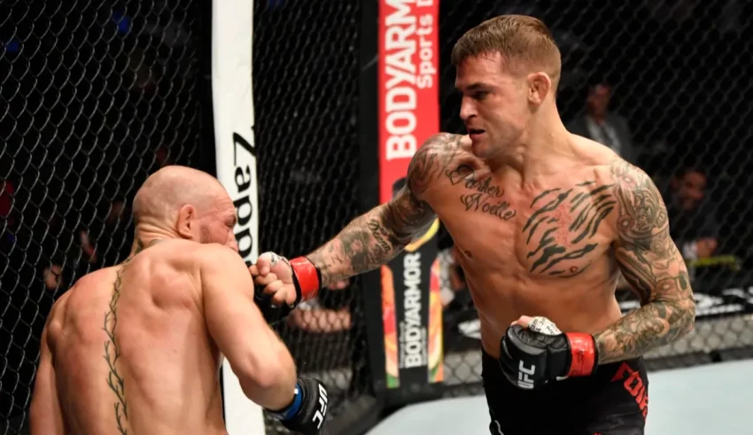 Which UFC Fighter Are You