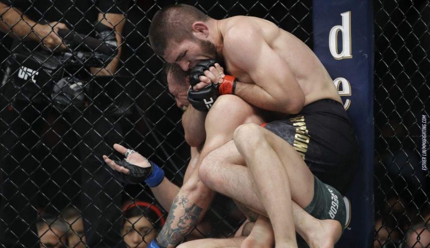 Which UFC Fighter Are You