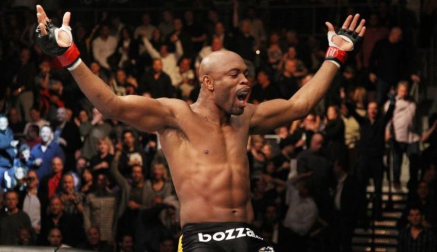 Which UFC Fighter Are You