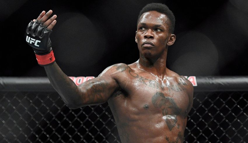 Which UFC Fighter Are You