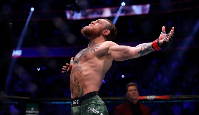 Which UFC Fighter Are You