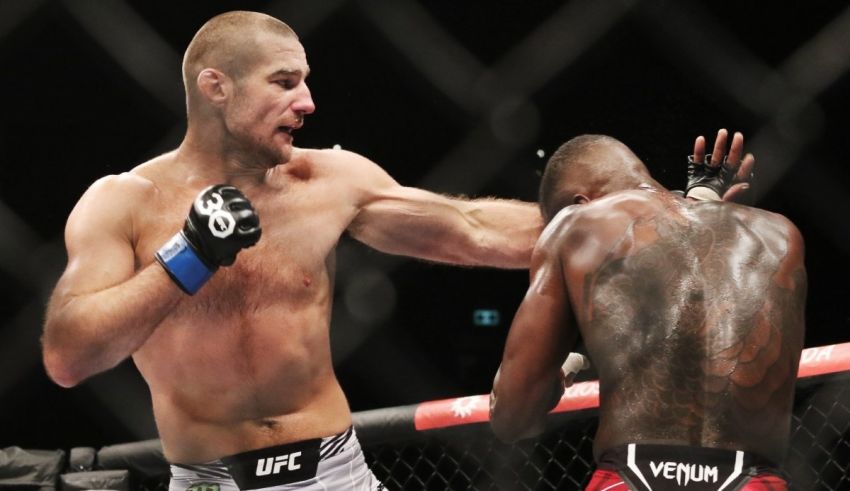 Which UFC Fighter Are You