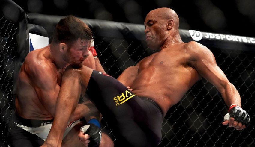 Which UFC Fighter Are You
