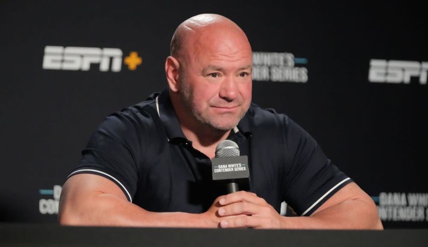 Which UFC Fighter Are You