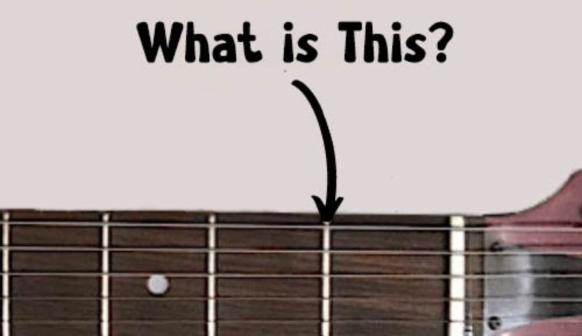 Can You Name All the Parts of a Guitar