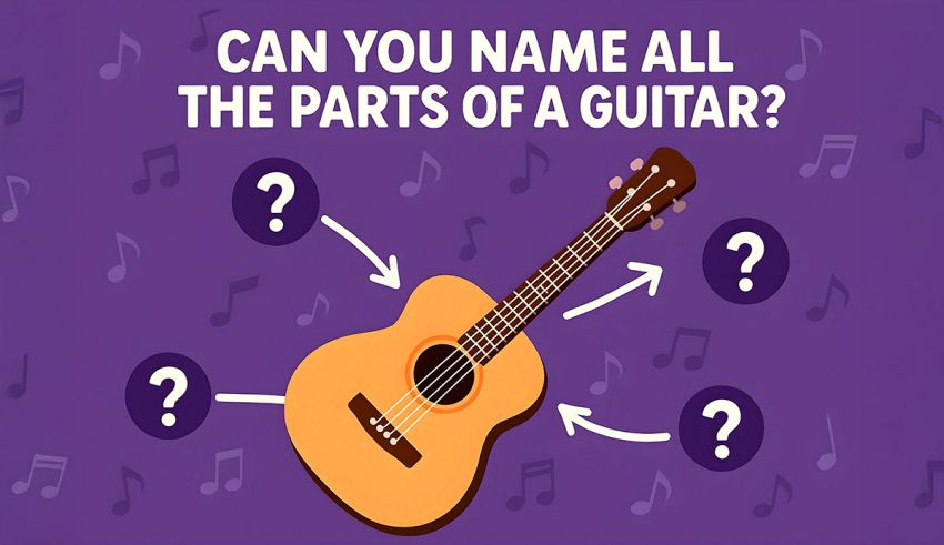 Can You Name All the Parts of a Guitar